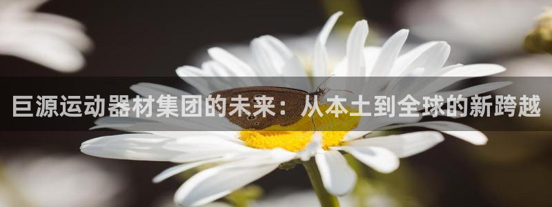 征途国际招商电话号码是多少：巨源运动器材集团的未来：