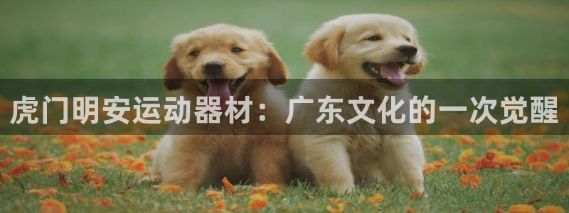征途国际平台体育：虎门明安运动器材：广东文化的一次觉