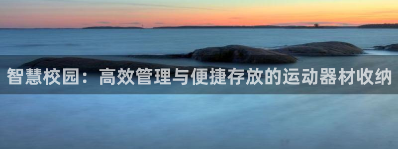 征途国际平台注册流程图：智慧校园：高效管理与便捷存放