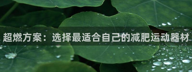 征途国际招商电话是多少号码：超燃方案：选择最适合自己