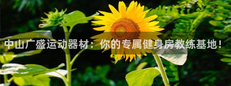 征途国际集团官网：中山广盛运动器材：你的专属健身房教
