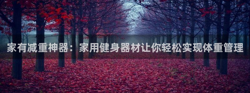 征途国际代理：家有减重神器：家用健身器材让你轻松实现