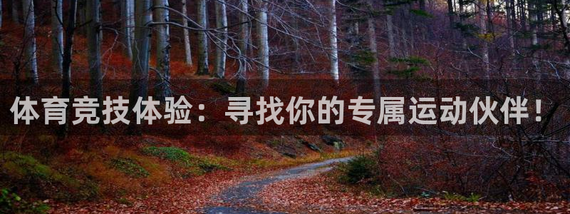 征途国际科技：体育竞技体验：寻找你的专属运动伙伴！