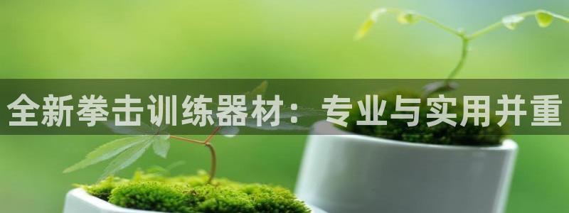 征途国际神州：全新拳击训练器材：专业与实用并重