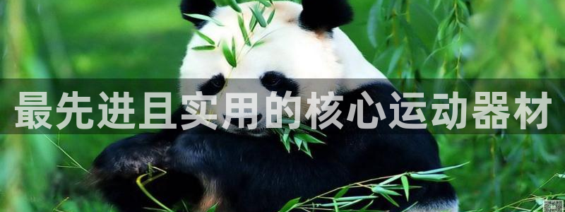 征途国际娱乐40996
