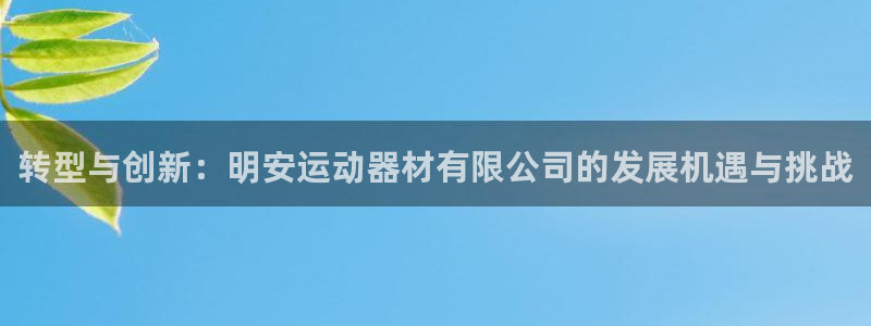 征途国际平台注册要钱吗是真的吗：转型与创新：明安运动器材有限