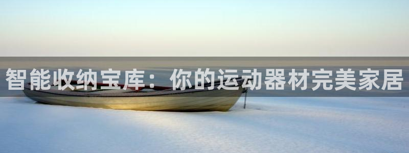 征途国际集团官网网址：智能收纳宝库：你的运动器材完美