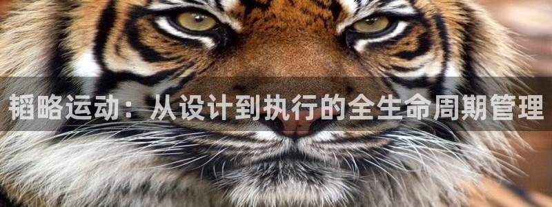 征途国际招商电话号码查询是多少：韬略运动：从设计到执行的全生