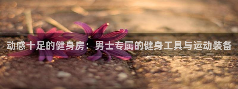 征途国际平台注册：动感十足的健身房：男士专属的健身工具与运动