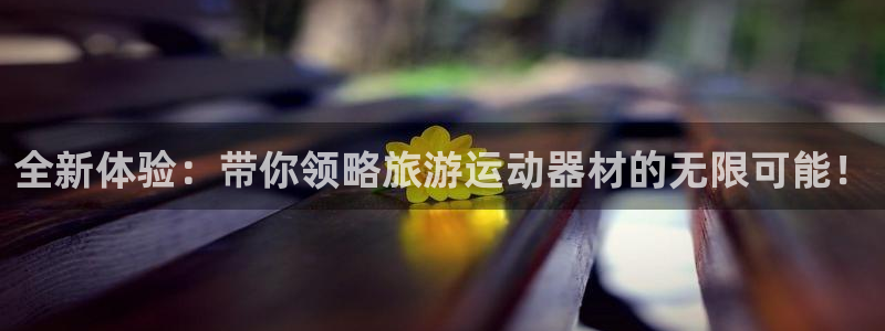 征途国际软件：全新体验：带你领略旅游运动器材的无限可