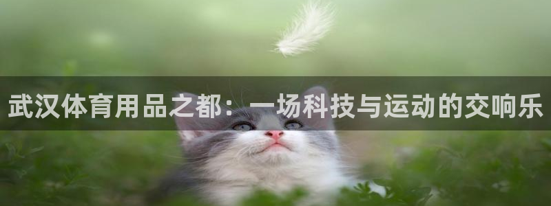 征途国际软件：武汉体育用品之都：一场科技与运动的交响乐