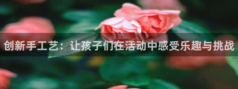 德国征途国际集团：创新手工艺：让孩子们在活动中感受乐趣与挑战