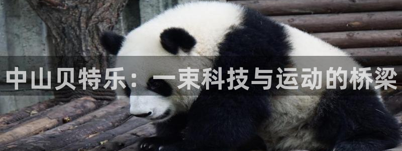 征途国际招商电话号码是多少：中山贝特乐：一束科技与运动的桥梁