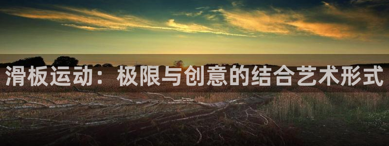 征途国际集团官网首页：滑板运动：极限与创意的结合艺术形式